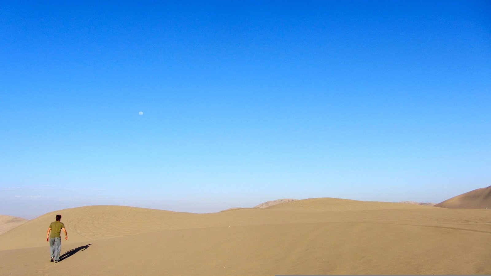 Ngồi Đây Chờ Chết Sao?